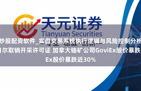 炒股配资软件_实盘交易系统执行逻辑与风险控制分析 被尼日尔取销开采许可证 加拿大铀矿公司GoviEx股价暴跌近30%