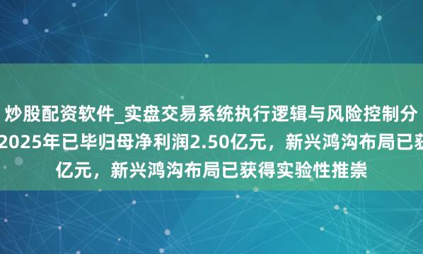炒股配资软件_实盘交易系统执行逻辑与风险控制分析 长虹能源：2025年已毕归母净利润2.50亿元，新兴鸿沟布局已获得实验性推崇