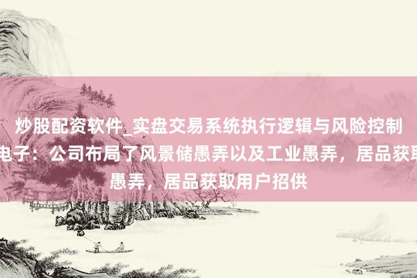 炒股配资软件_实盘交易系统执行逻辑与风险控制分析 中瓷电子：公司布局了风景储愚弄以及工业愚弄，居品获取用户招供